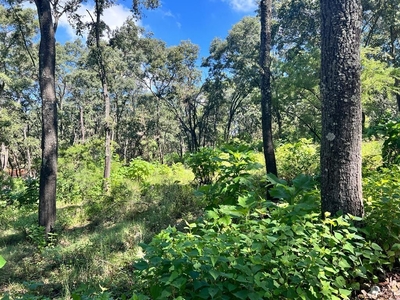 TERRENO EN VENTA EN RESERVA DE LOS ENCINOS , TEUCHITLAN