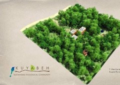 terreno en venta kuyabeh de 12,000 m2, cancún