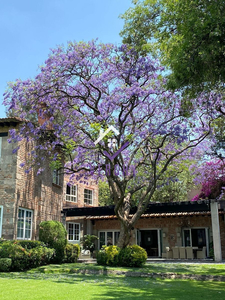 San Jerónimo Lídice, Espectacular Casa De Revista En Venta