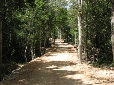 Terreno en Venta en Tulum, Quintana Roo