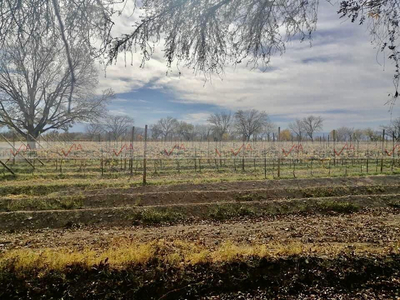 Venta Terreno Para Desarrollar Cuatro Ciénegas, Coahuila En