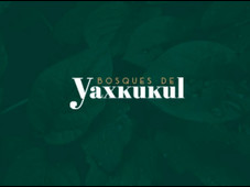 bosques de yaxkukul lotes