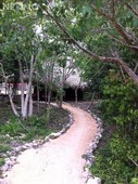 se vende terreno ecológico residencial en xpu-há en la riviera maya