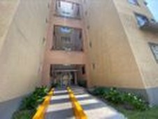 Departamento en Renta Privada Santa Monica
, Colinas De San José, Tlalnepantla De Baz, Tlalnepantla De Baz