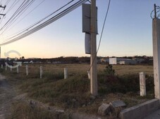 terreno en renta en cumbres de conin tercera