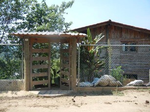 Doomos. Casa Sola Residencial en Renta en Pueblo Tlalnelhuayocan
