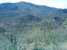 Terreno en Venta en Navojoa, Sonora