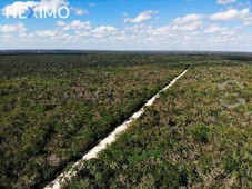 terreno en venta ruta de los cenotes en puerto mo
