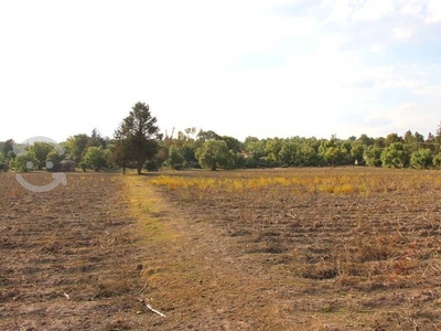 VENTA TERRENO EN SANTA MARIA CUEVAS ZUMPANGO