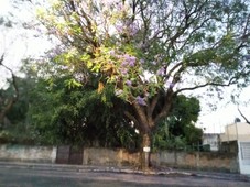 terreno en venta en ciudad del sol, zapopan, jalisco