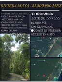 1 Hectarea en La Riviera Maya, Cerca de Xelhas