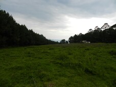 En la zona de ranchos VIP, 5 hectáreas en Valle de Bravo, Méx.