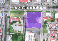 terreno en venta en plaza guadalupe, zapopan, jalisco