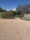 Terreno habitacional con árboles de olivo, San Miguel de Allende-VENTA (DÓLARES)