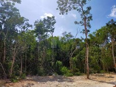 Terreno en venta en Tulum