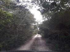 terreno habitacional en venta, en tulum centro, tulum