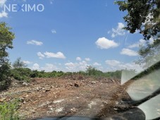 Terreno en venta en Cholul de oportunidad