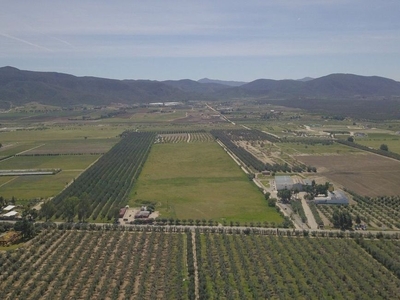 Se Vende Terreno Comercial en Valle de Guadalupe