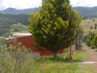 Venta Terreno 0 Ambiente San Pedro Tlachichilco