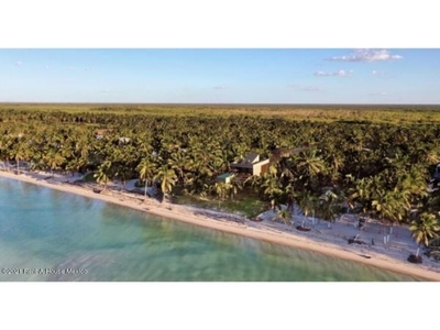 Terreno de Playa en Venta en Costa Esmeralda Yucatan GIS.22-1259