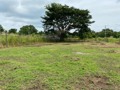 TERRENO EN EL TEJAR, VERACRUZ LOTE 3