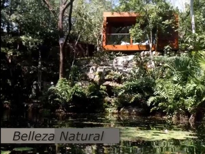 Terreno Venta Sisal Fraccionamiento con 4 Cenotes Yucatán 22-3302