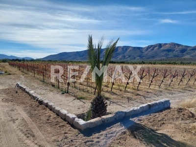 Terreno agrícola y/o ganadero en Magdalena Kino, Sonora.