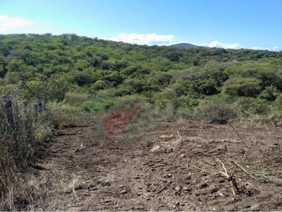 Terreno en venta, a bordo de caqrretera, Mazatepec-Puente de Ixtla, Morelos