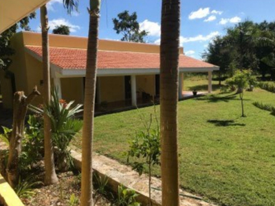 Venta De Hacienda Ganadera Y Agricola 286 Has En Yucatán