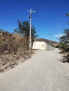 Terreno de 6 hectareas atras a 3 km de Lopez Mateos