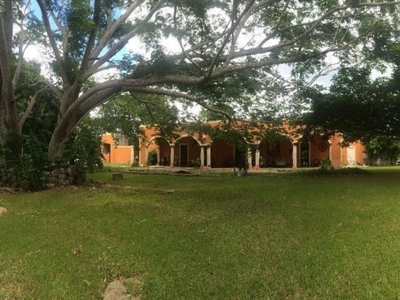Hacienda En Venta De 112 Has Con Cenote En Yucatán