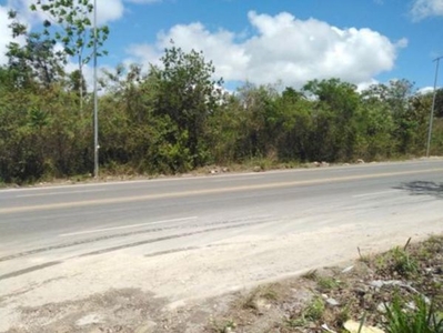 Venta de terreno en Supermanzana 106, Cancún Quintana Roo.