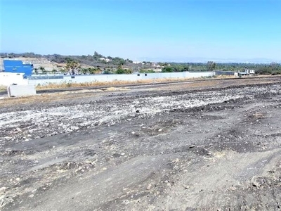 PREVENTA DE LOTES INDUSTRIALES EN CORREGIDORA