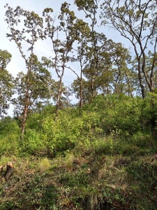 Terreno en venta, San Nicolás, San Cristóbal de las Casas, Chiapas