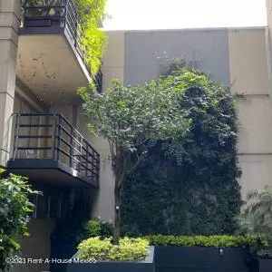 Departamento En Renta En Hipódromo Condesa, Cuauhtémoc 24-292 Zg