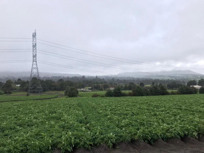 Terreno En Venta En Alcaldia Tlalpan, Terreno En Venta En San Miguel Topilejo