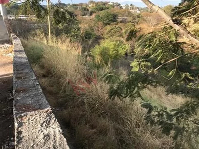 Venta De Terreno En Real Del Puente, Xochitepec Morelos