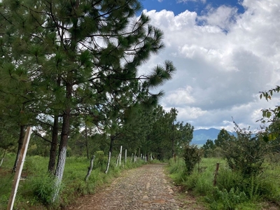 Terreno 1 hectarea en venta en Tapalpa