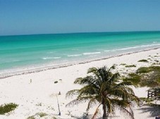 venta de terreno en cuyo - yucatan.