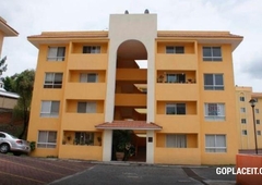 venta de departamento - san jerónimo, 1er nivel en condominio la arboleda, cuernavaca , morelos., cuernavaca - 2 recámaras - 1 baño