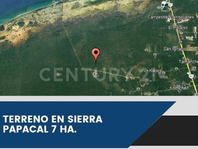 Se Vende Terreno De 7 Ha, En Esquina, Para Inversión En Sierra Papacal, Mérida.