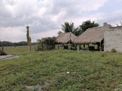 Terreno En Campeche Para Cultivos, Proyectos De Energia Elec