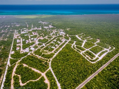 Lot For Sale in Tulum