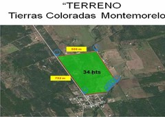 más de 500 mts. en renta en montemorelos