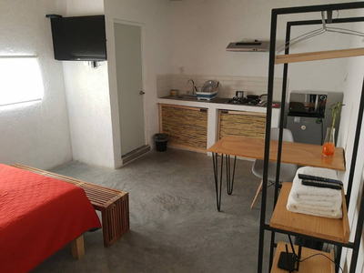 Encantador Loft Con Servicios Incluidos Y Roof Garden En Querétaro., 12041