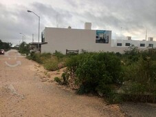 terreno en san diego cutz , al norte de mérida