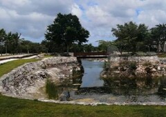 Terreno venta en Puerta de Agua, Progreso,