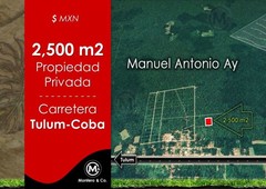 2,500m2 en manuel antonio ay