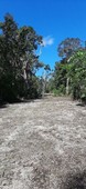Terreno en la selva maya Tulum - Francisco uh May