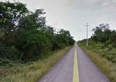 terreno en venta de 378 hectareas en tzacala, yucatan